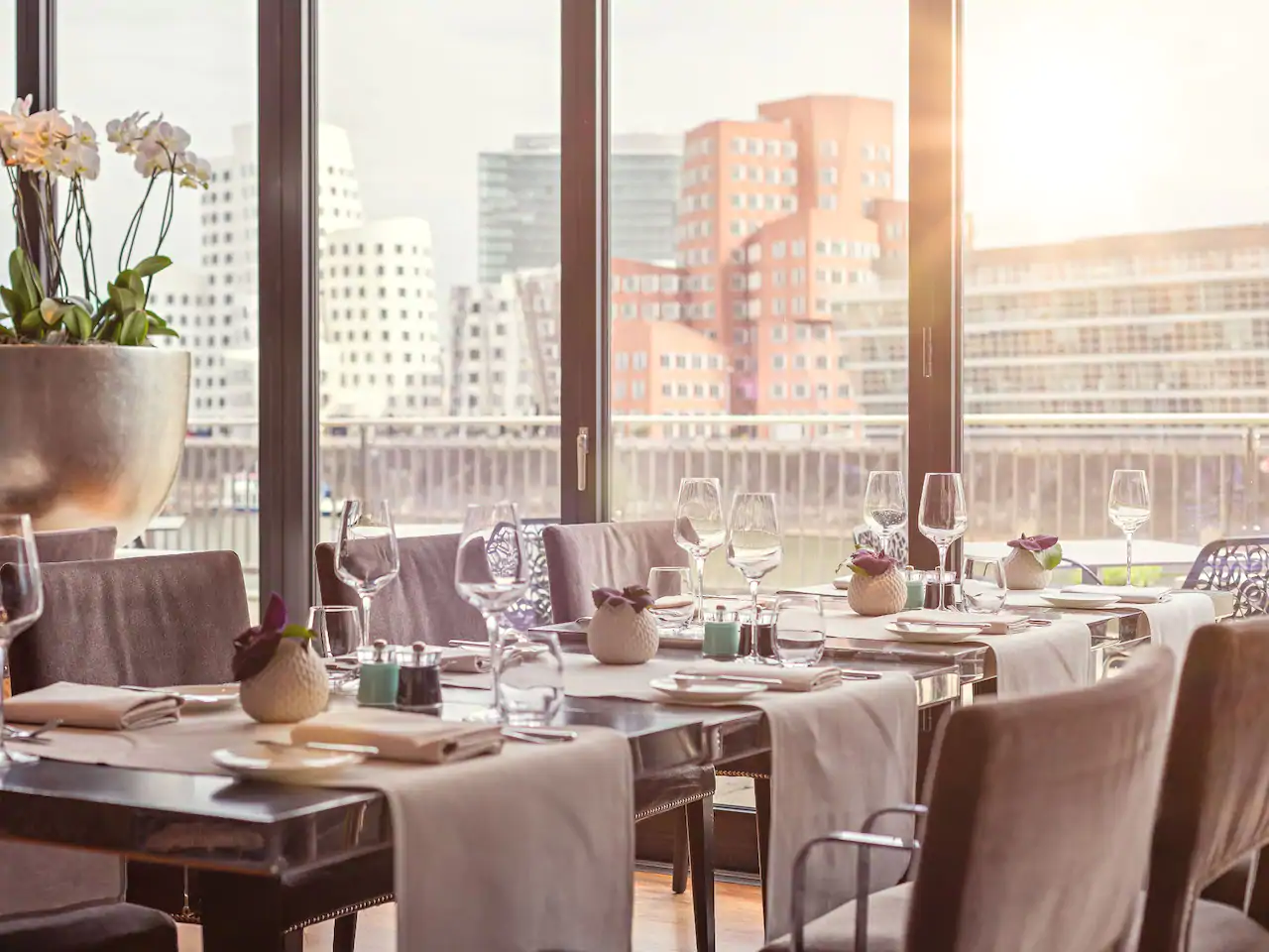 DOX Restaurant & Terrace