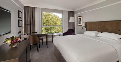 Hyatt Room - Garden View