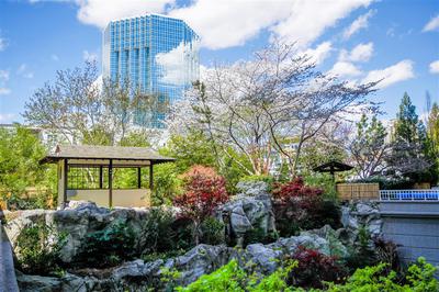 Grand Hyatt Atlanta In Buckhead image