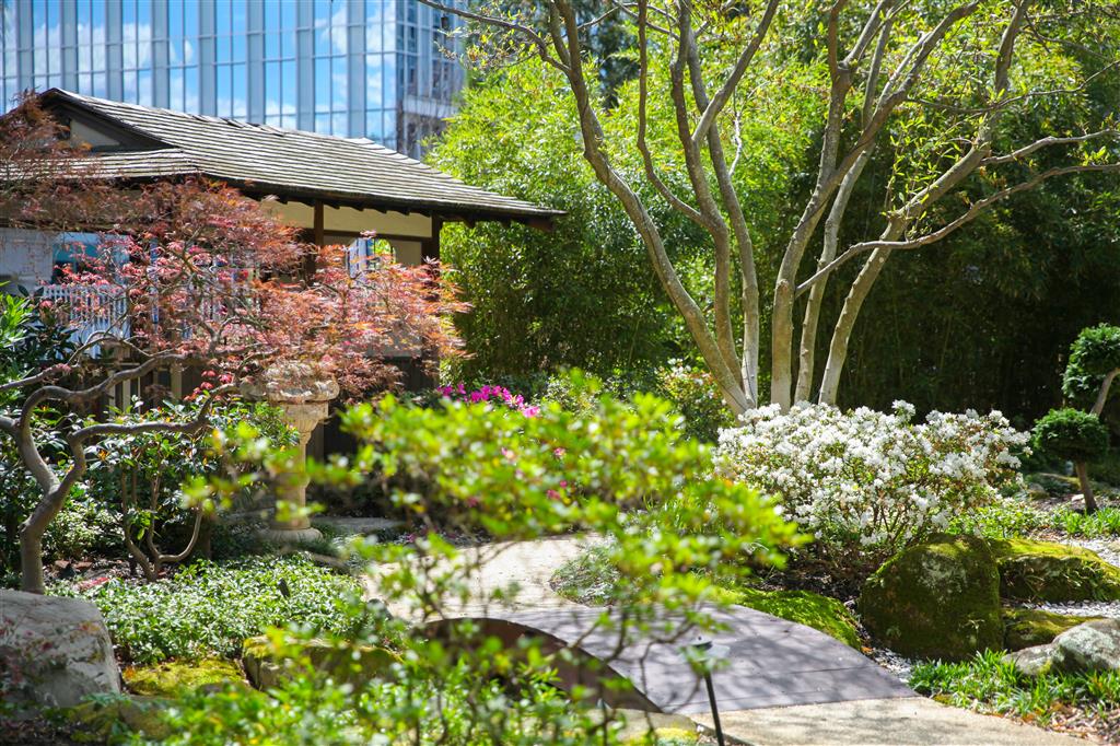Grand Hyatt Atlanta In Buckhead
