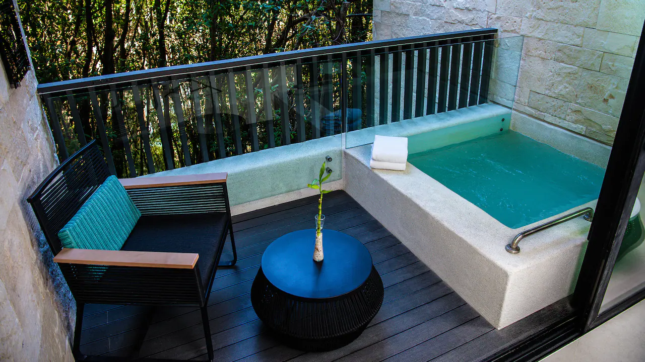 One King Bed with Mini Plunge Pool