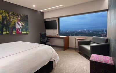 1 King 1 Bedroom Suite