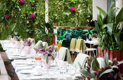 Courtyard Garden