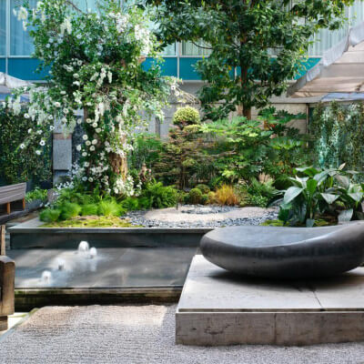 Courtyard Garden