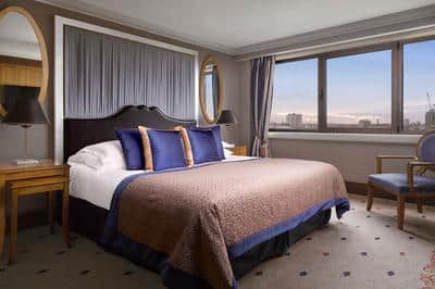 1-Bedroom Suite