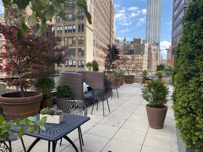 Veranda Suite