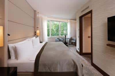 1 King Junior Suite