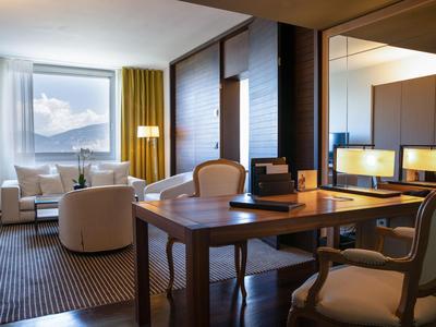 1 King Bed One Bedroom Lake View Suite