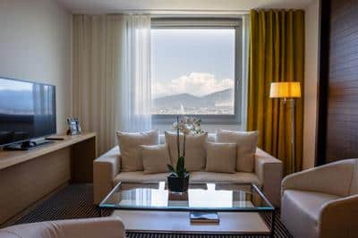 1 King Bed One Bedroom Lake View Suite