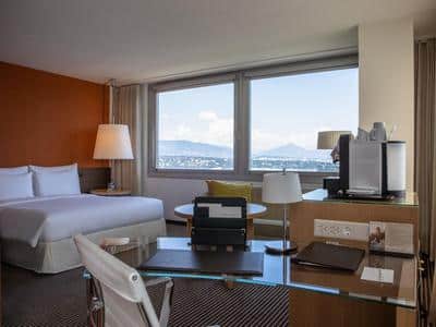 1 King Bed Junior Suite Lake View