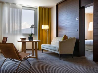 1 King Bed One Bedroom Suite