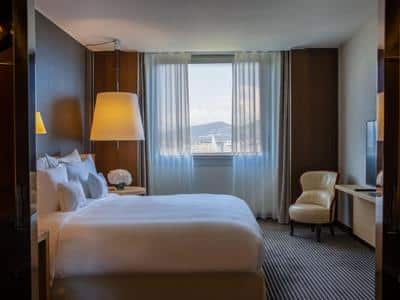 Panoramic Lake View Suite