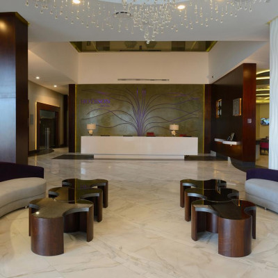 HS HOTSSON Hotel Irapuato image
