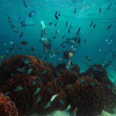 Snorkelling