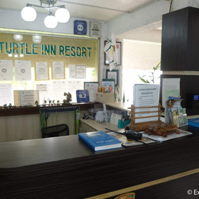 Turtle Inn image