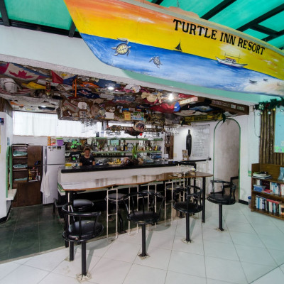 Turtle Inn image