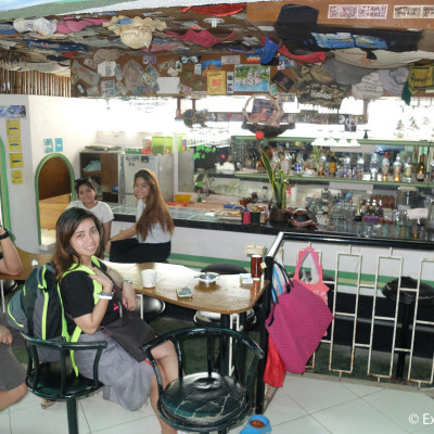 Turtle Inn image