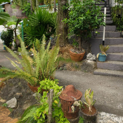 Turtle Inn image