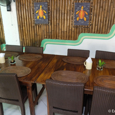 Turtle Inn image