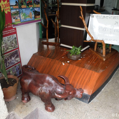 Turtle Inn image