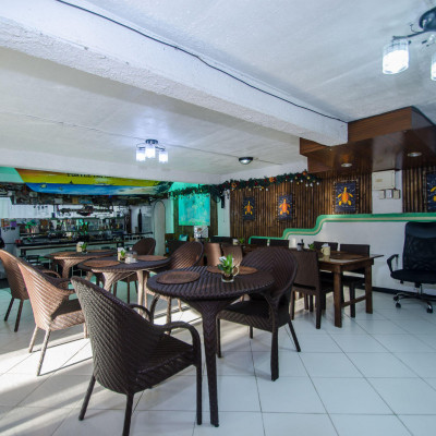 Turtle Inn image
