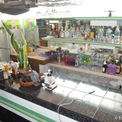 Turtle Inn image