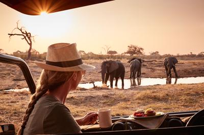 Safari