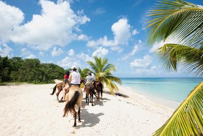 Horse Riding