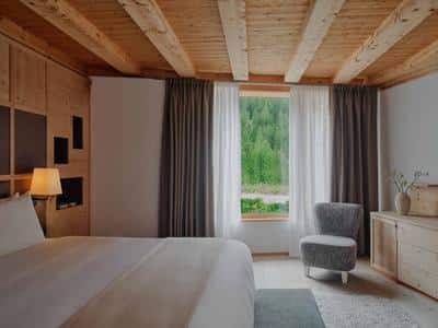 Zeno Suite