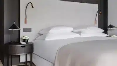 Serlas Wing Suite