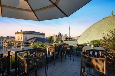 The Rooftop Terrace
