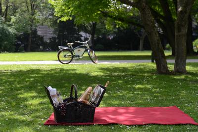 Picnic in the Garden