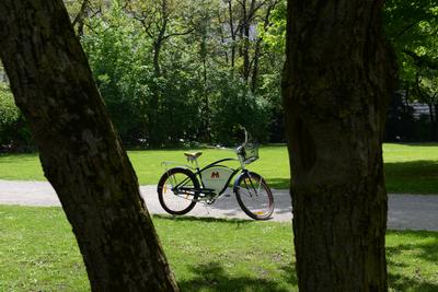 Bicycle