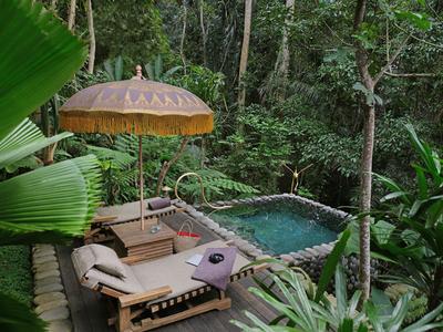 Rainforest Tent