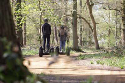 Segway Experiences