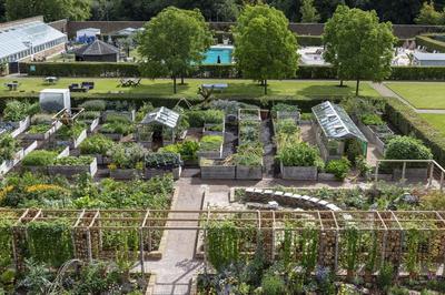 Jemima's Kitchen Garden