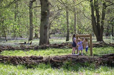 Forest Camps