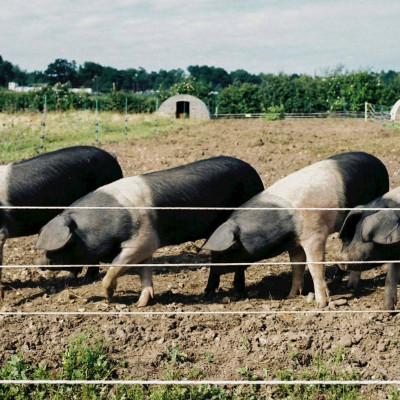 Home Farm