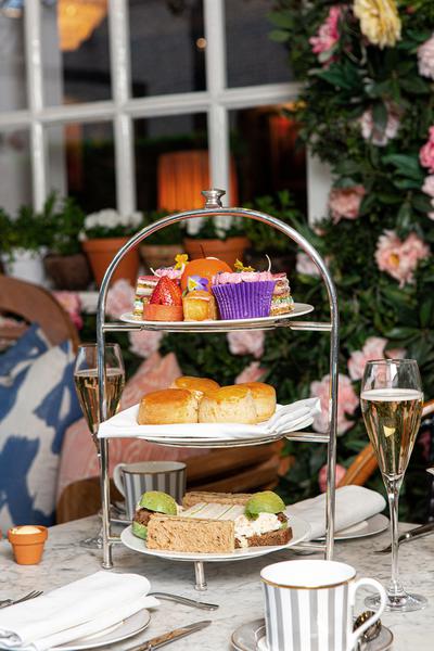 Afternoon Tea on Dalloway Terrace