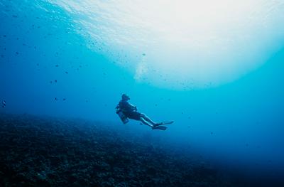 PADI Gold Palm Resort Dive Centre