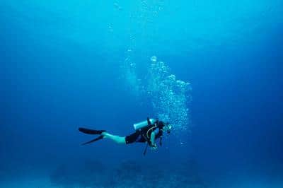 PADI Gold Palm Resort Dive Centre