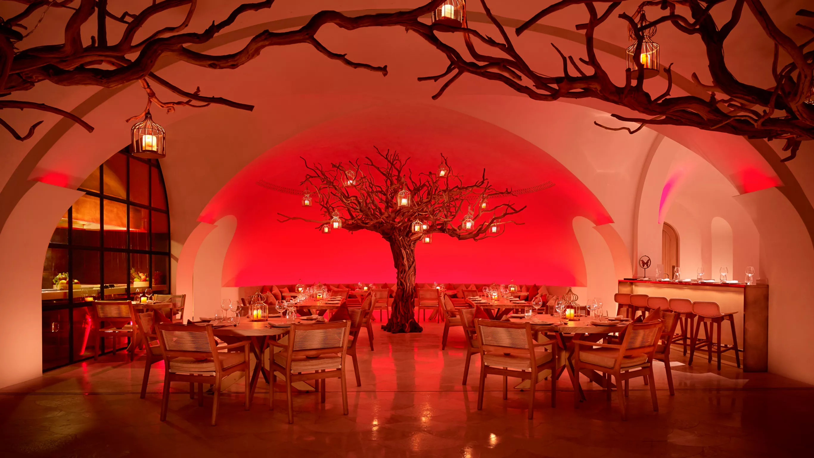 Arbol