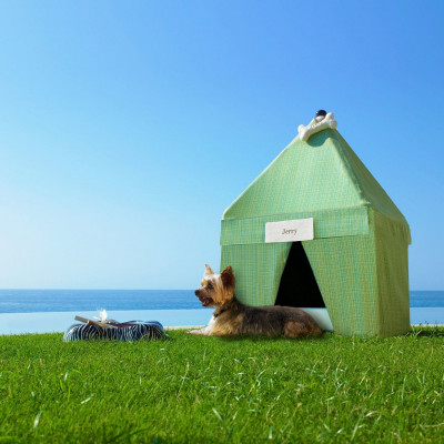 Pet Friendly