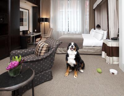Pet Friendly Room