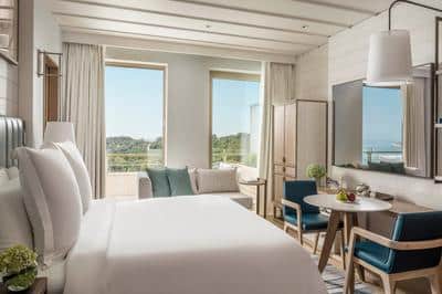 Arion Pine-View Room