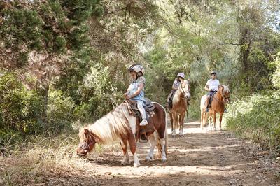 Horse Riding
