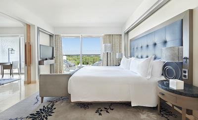 Guest Room, King (Accessible)