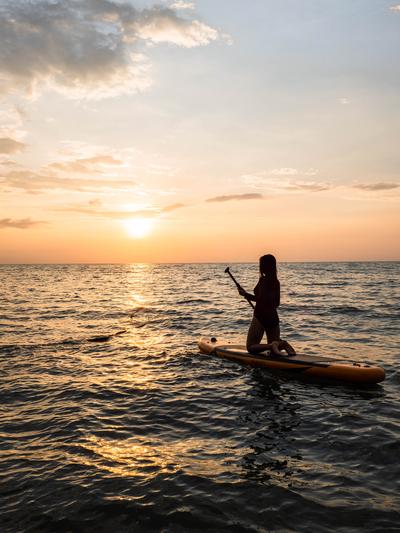Paddle Board