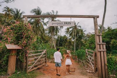 Iris Farm Tour
