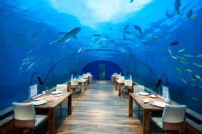 Ithaa Undersea Restaurant